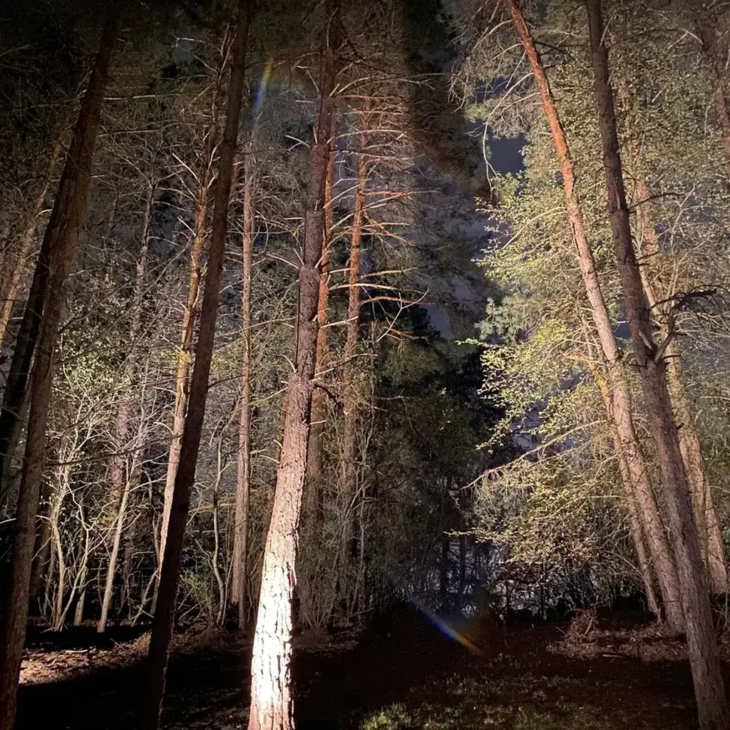 Uplighting example 1