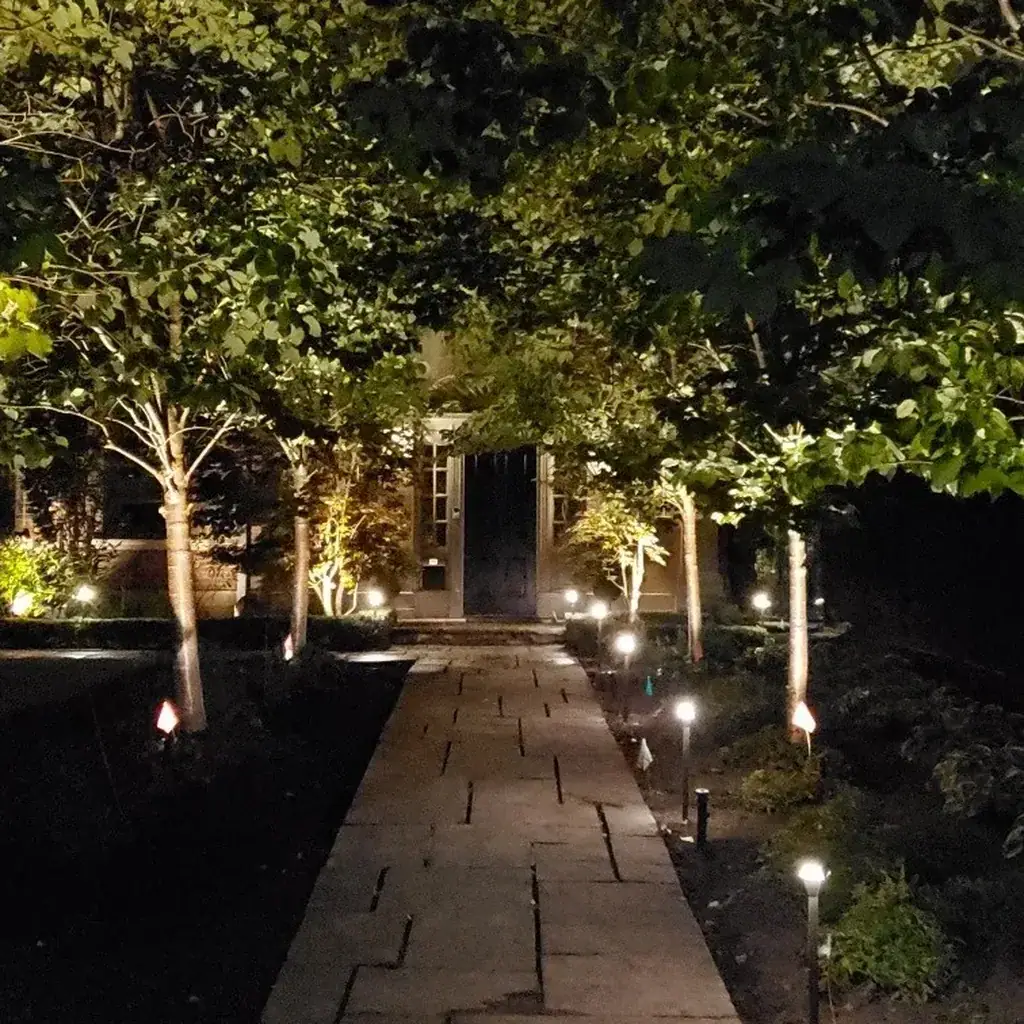 Estate Dark Sky Path