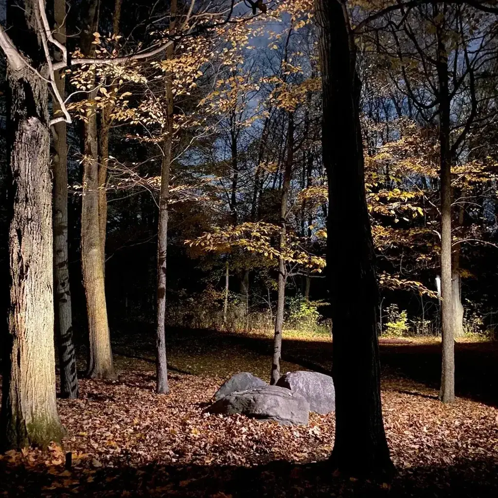 Landscape lighting installation process in Toronto