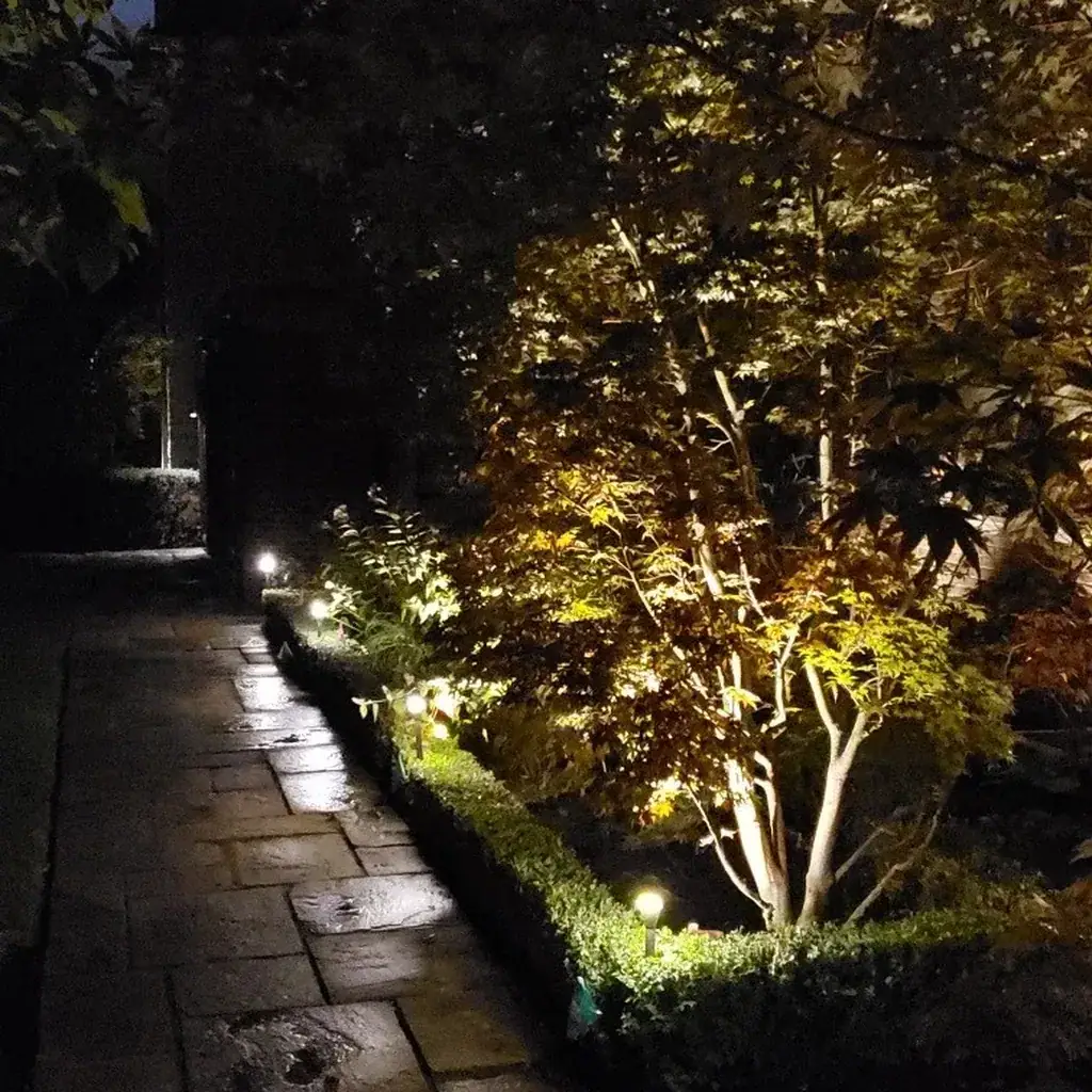 Pathway lighting installation in Toronto
