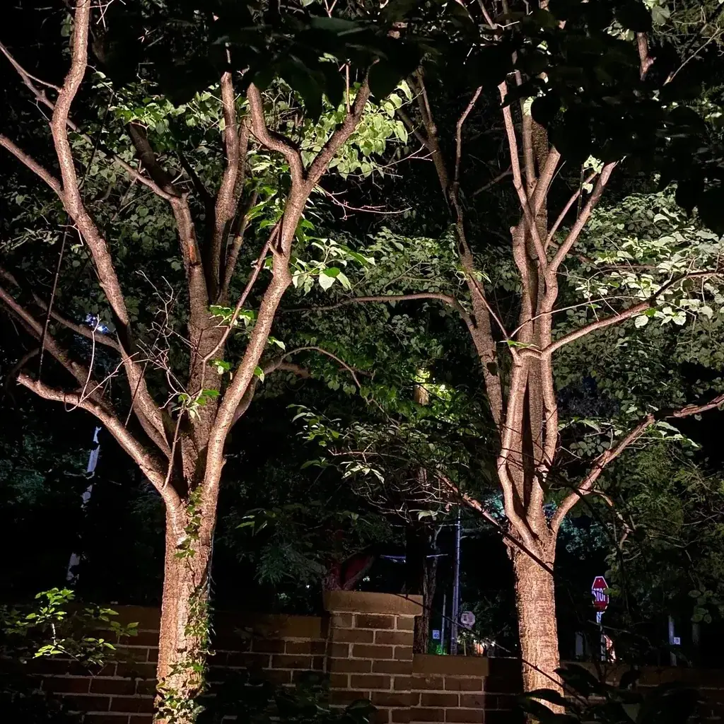Led Lighting Intro