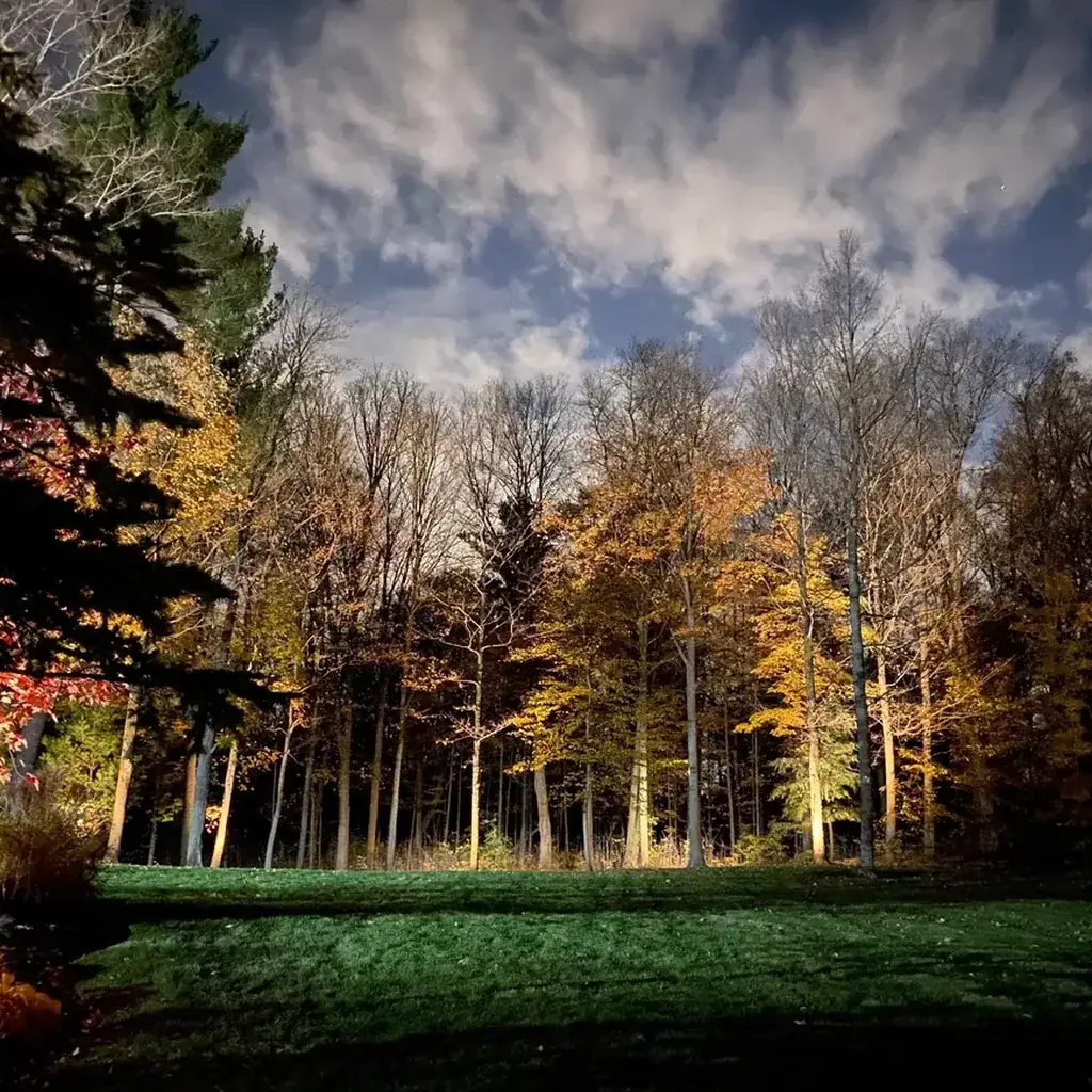 Professional landscape lighting installation in Toronto